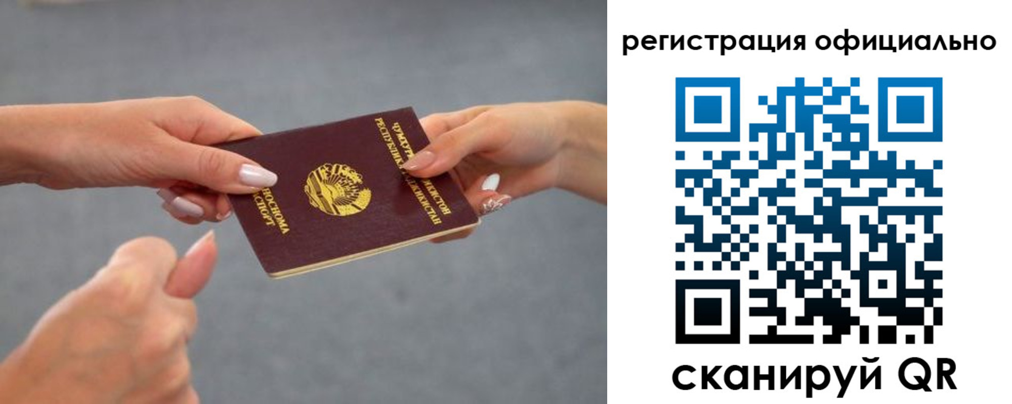 прописка поиск в Мытищах