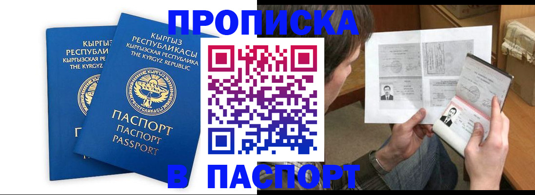 прописка гарантия в Мытищах